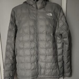 The North Face Men's Silver Puffer Jacket